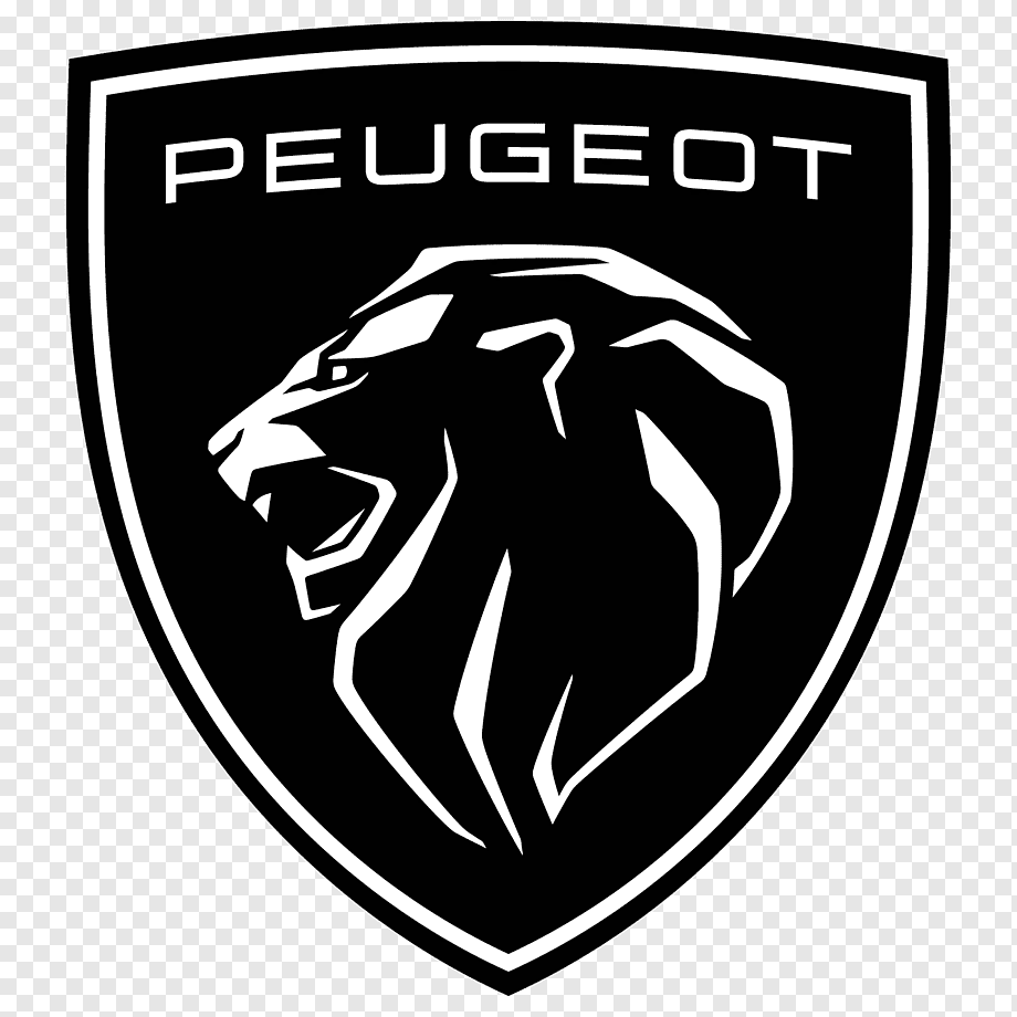  Denizli Peugeot ECU Tamiri